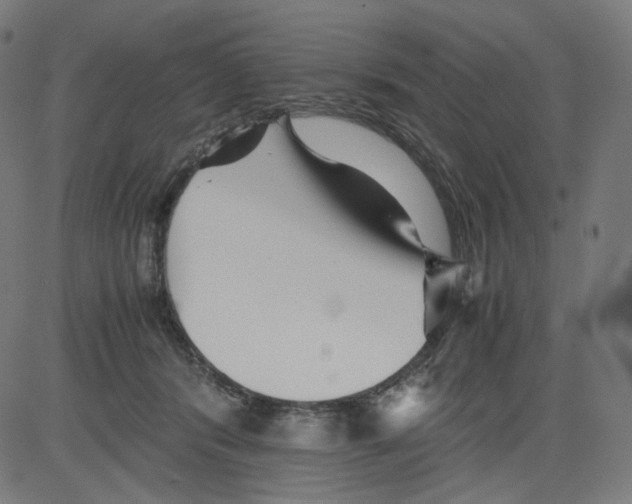 X0000081430416200702092204