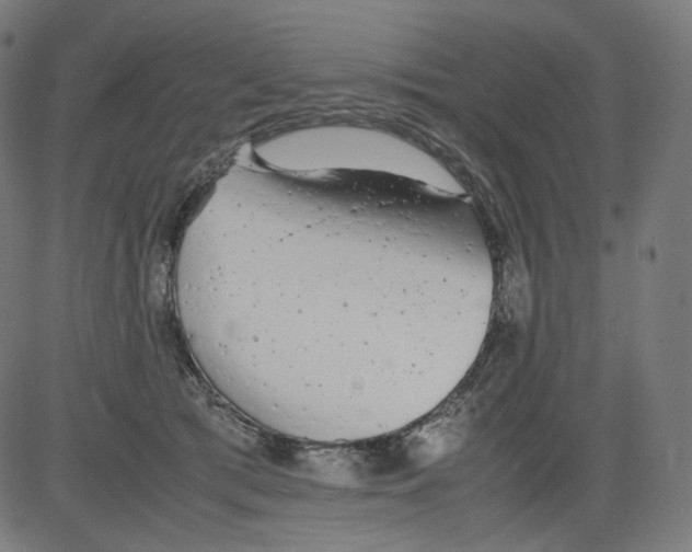 X0000081430417200702092204