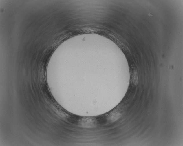 X0000081430418200702092204