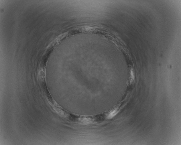 X0000081430419200702092204