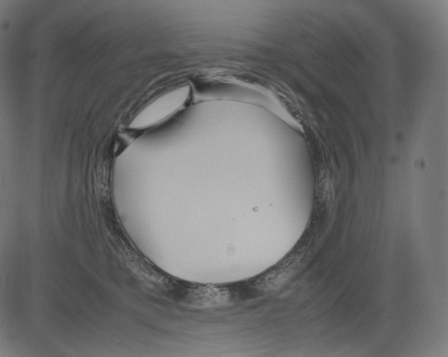 X0000081430421200702092204