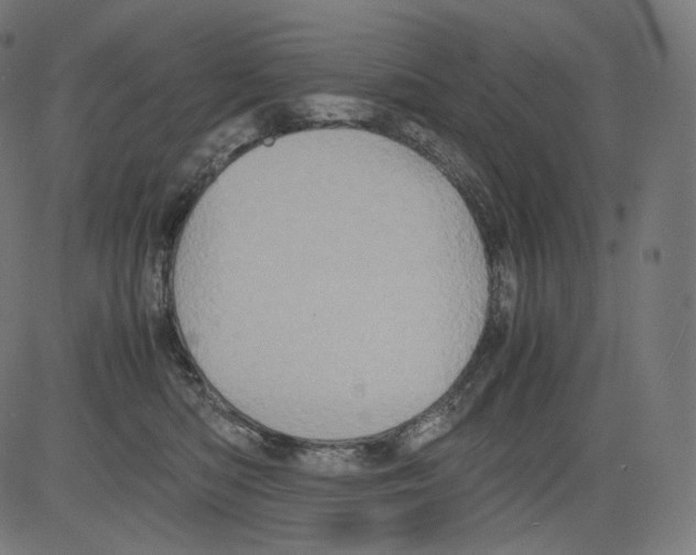 X0000081430422200702092204