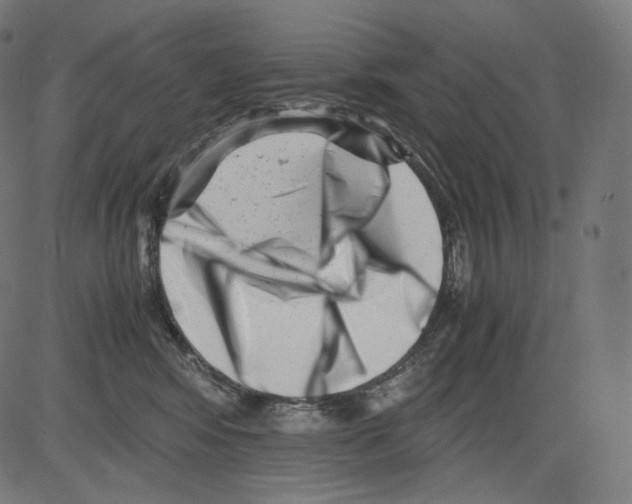 X0000081430424200702092204