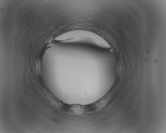 X0000081430425200702092204