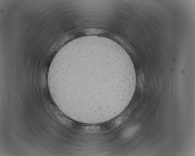 X0000081430426200702092204