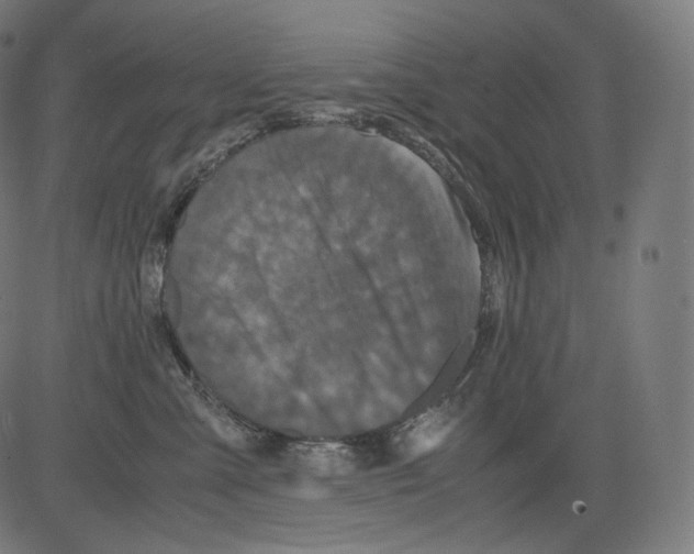 X0000081430427200702092204