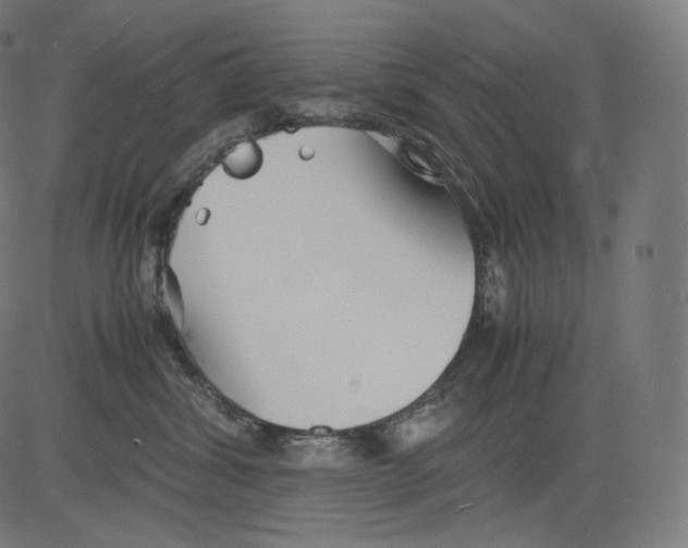 X0000081430428200702092204