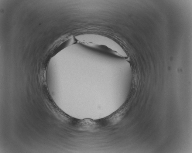 X0000081430429200702092204