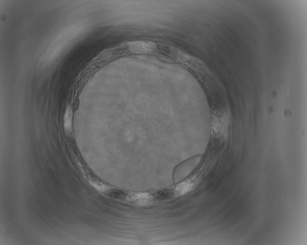 X0000081430431200702092204