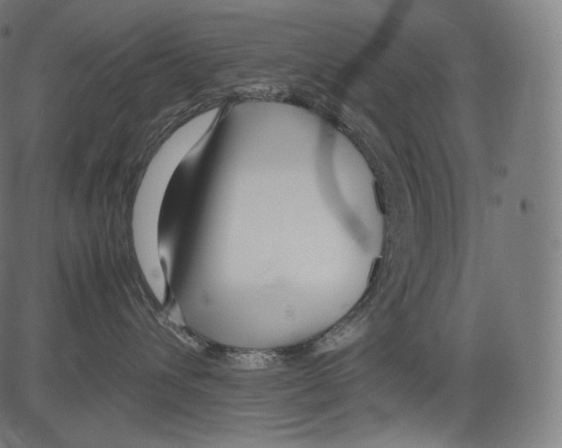 X0000081430432200702092204