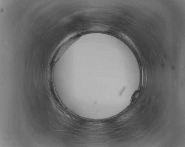 X0000081430435200702092203