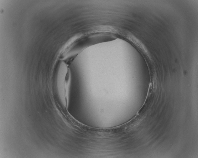 X0000081430436200702092203