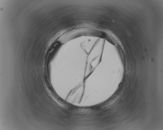 X0000081430437200702092203