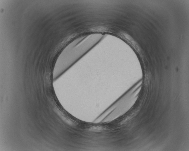 X0000081430441200702092204