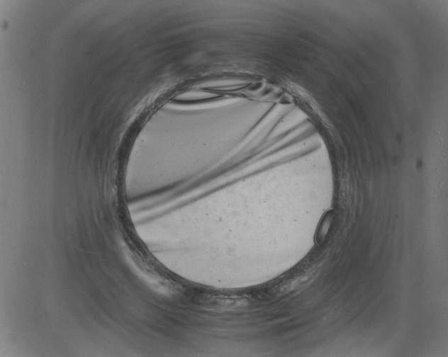 X0000081430443200702092204