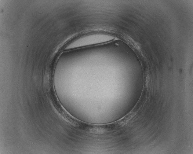 X0000081430444200702092204