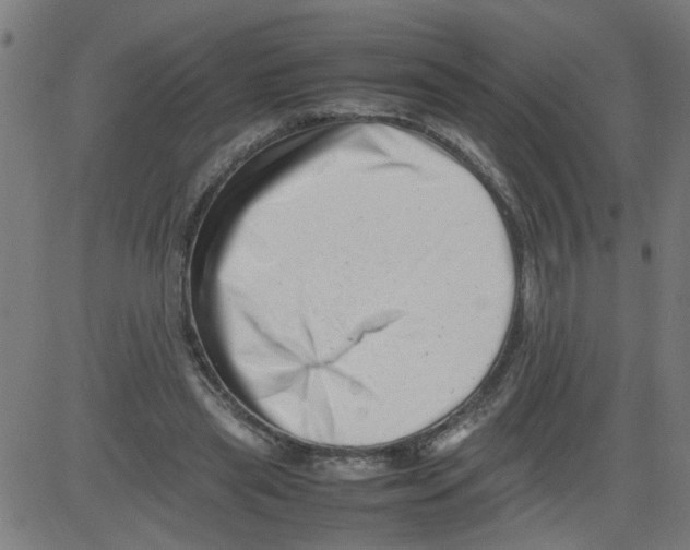 X0000081430445200702092204