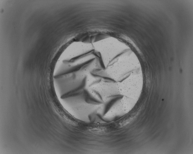 X0000081430447200702092204