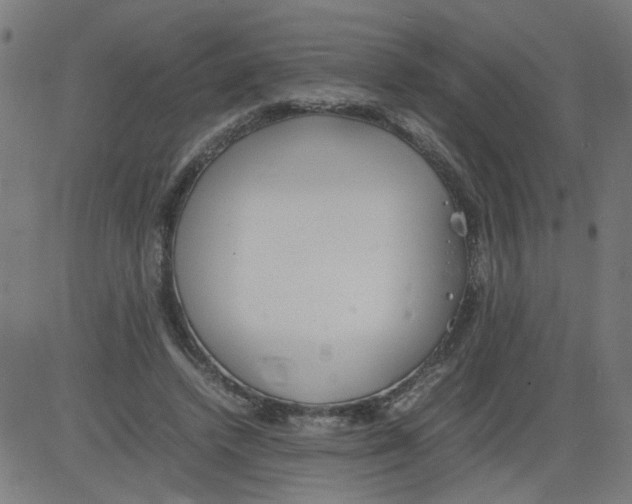 X0000081430448200702092204