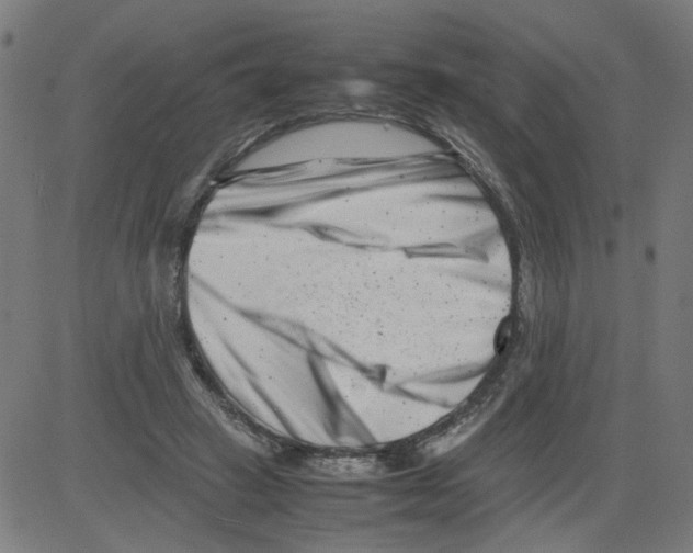 X0000081430449200702092204