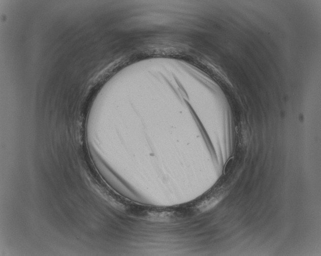 X0000081430450200702092204