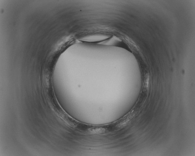 X0000081430452200702092204