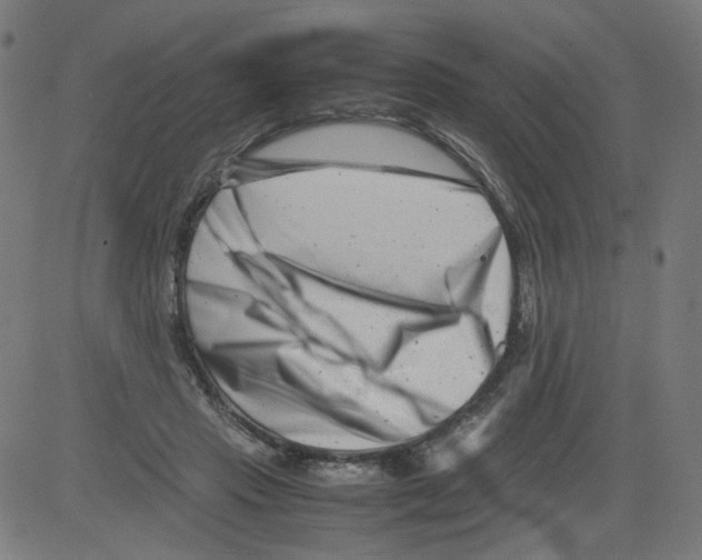 X0000081430453200702092204