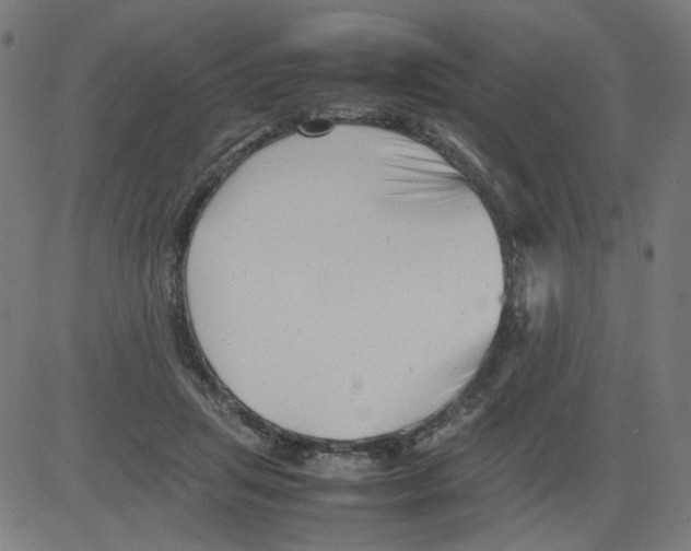 X0000081430455200702092204