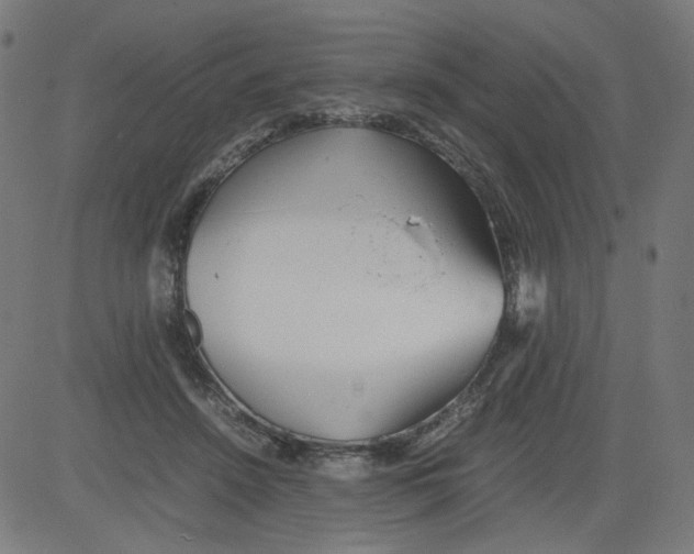 X0000081430456200702092204