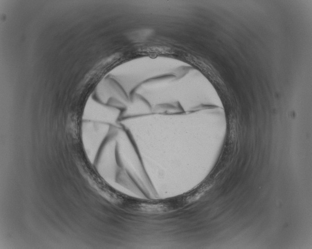 X0000081430457200702092204