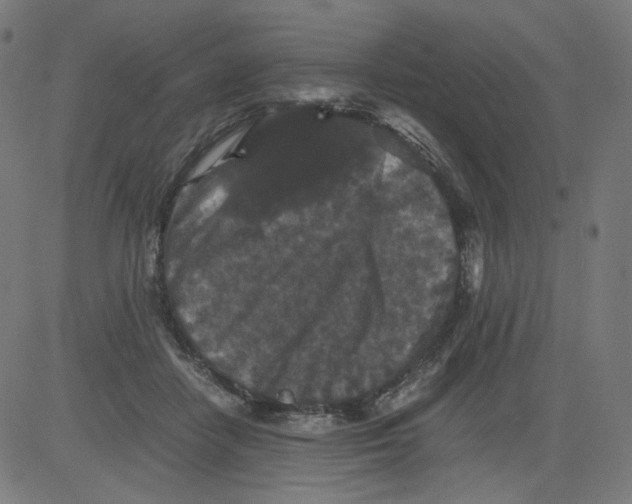 X0000081430458200702092204