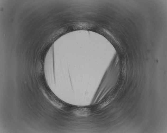 X0000081430459200702092204