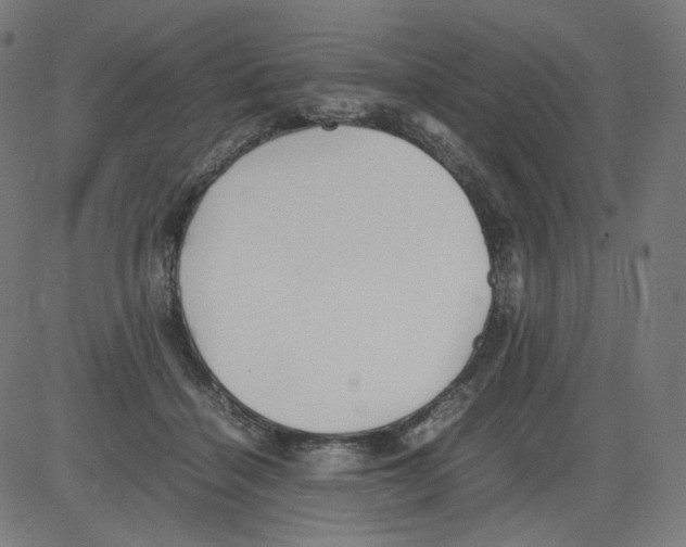 X0000081430460200702092204