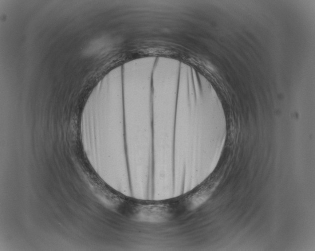 X0000081430461200702092204