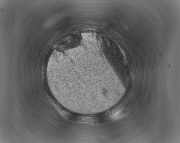 X0000081430462200702092204