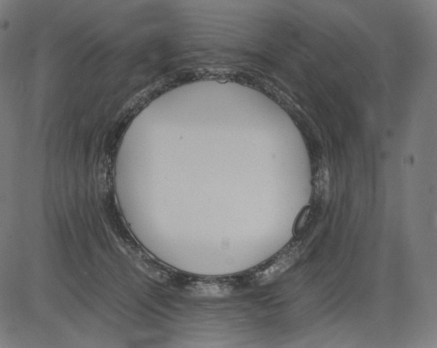 X0000081430464200702092204