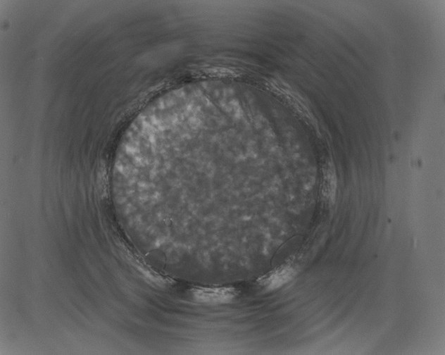 X0000081430465200702092204