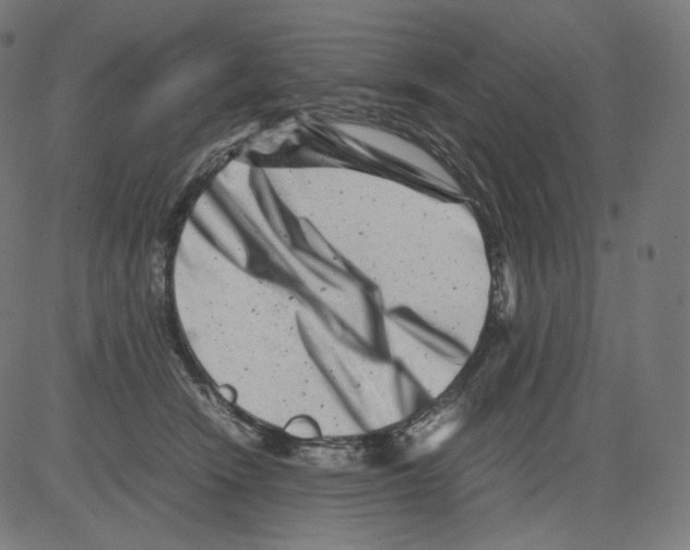 X0000081430466200702092204