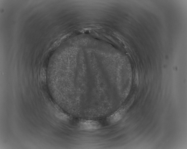 X0000081430467200702092204