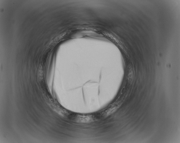 X0000081430469200702092204