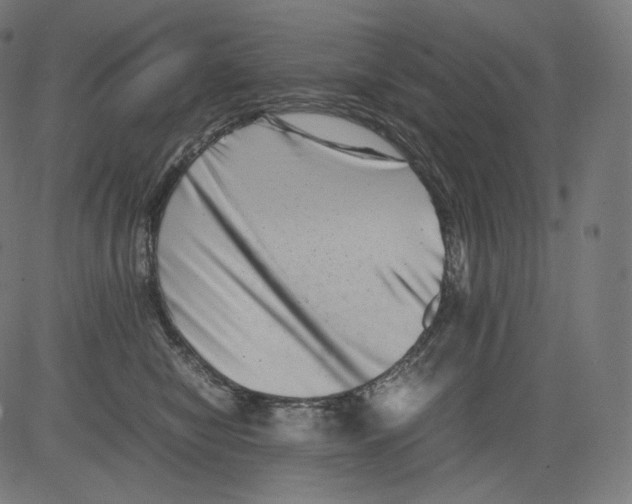 X0000081430470200702092204