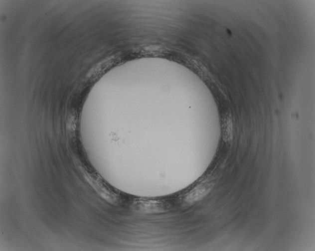 X0000081430472200702092204