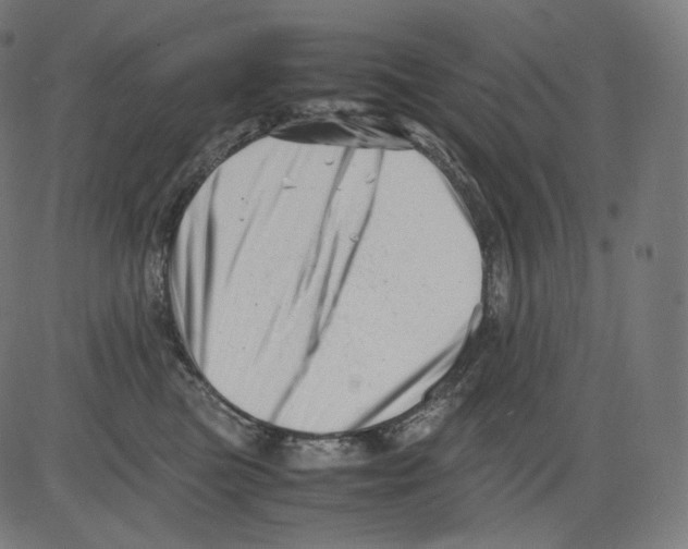 X0000081430473200702092204