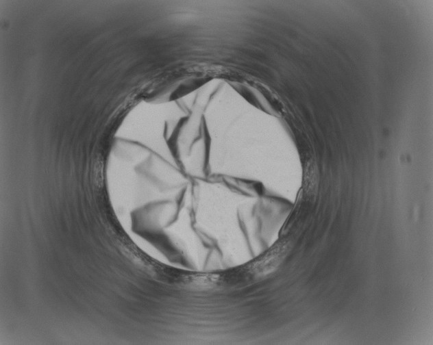 X0000081430474200702092204