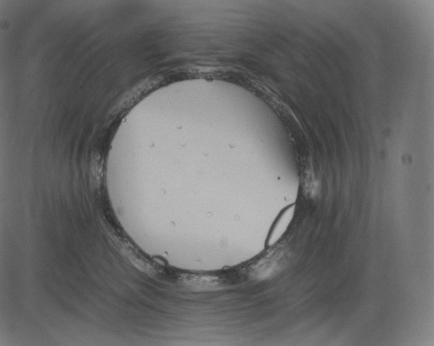 X0000081430476200702092204