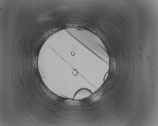 X0000081430477200702092204