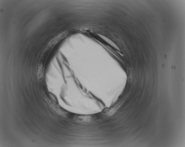 X0000081430478200702092204