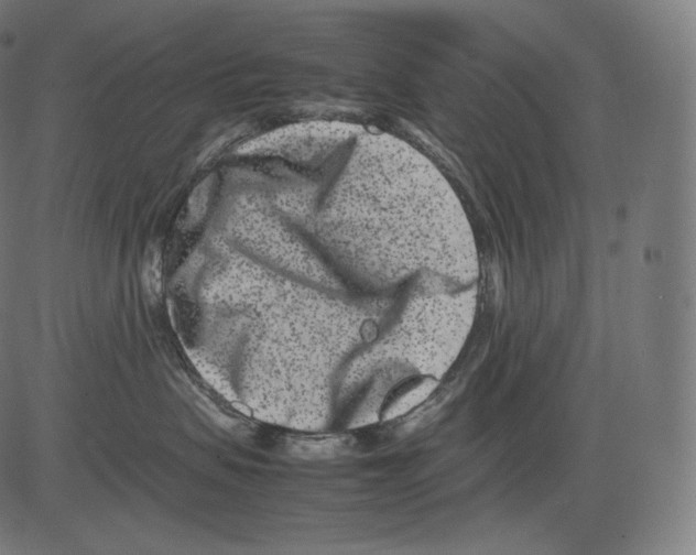 X0000081430479200702092204