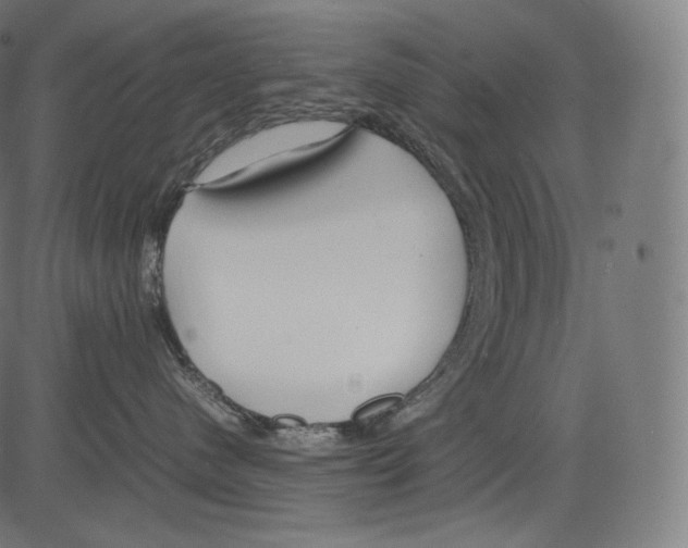 X0000081430480200702092204