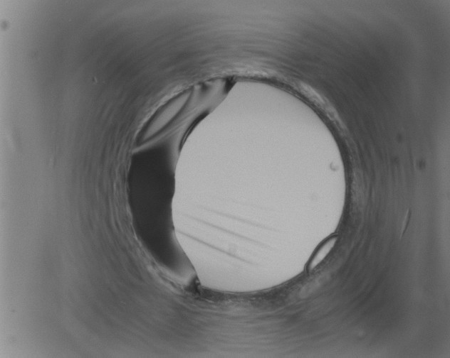 X0000081430481200702092203